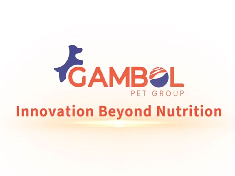 Gambol 소개